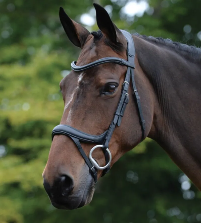 Collegiate Comfitec Vogue Anatomical Bridle Black